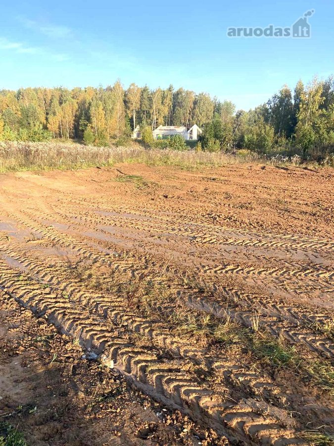 1. Rudens g. 10, detaliajame plane sklypas Nr - nuotraukos Nr. 2