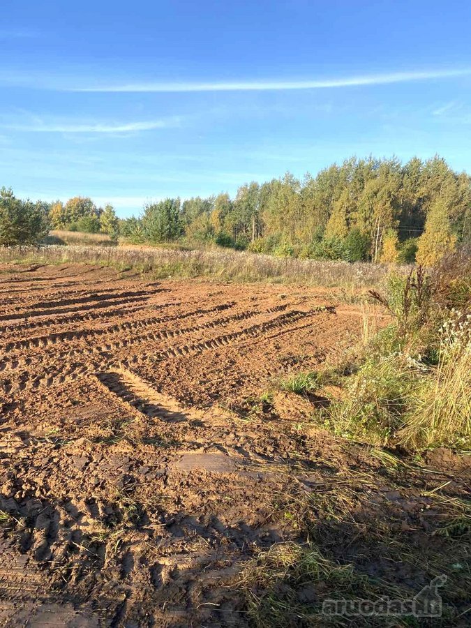 1. Rudens g. 10, detaliajame plane sklypas Nr - nuotraukos Nr. 5