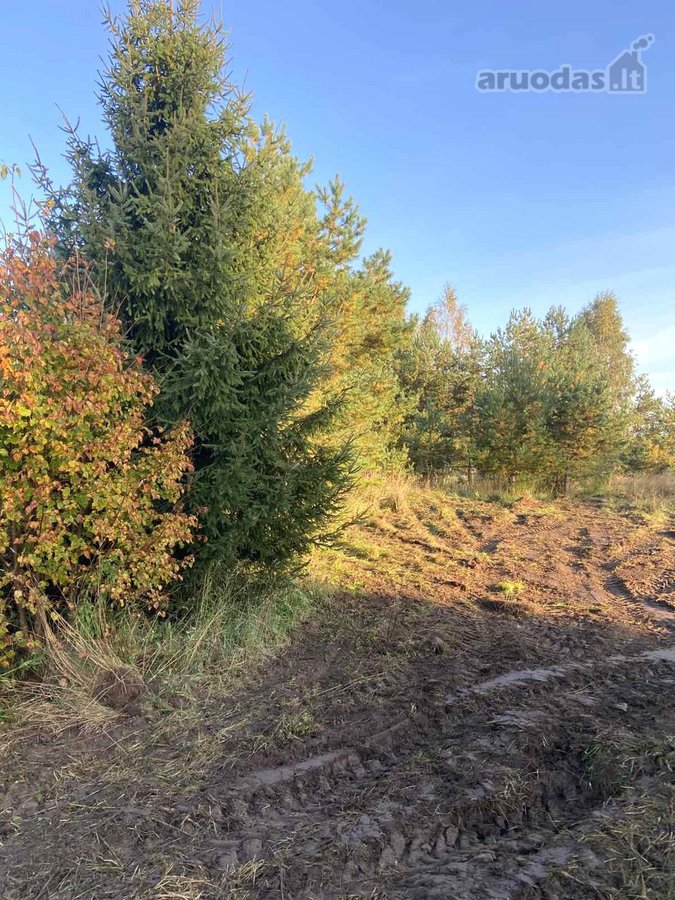 1. Rudens g. 10, detaliajame plane sklypas Nr - nuotraukos Nr. 6