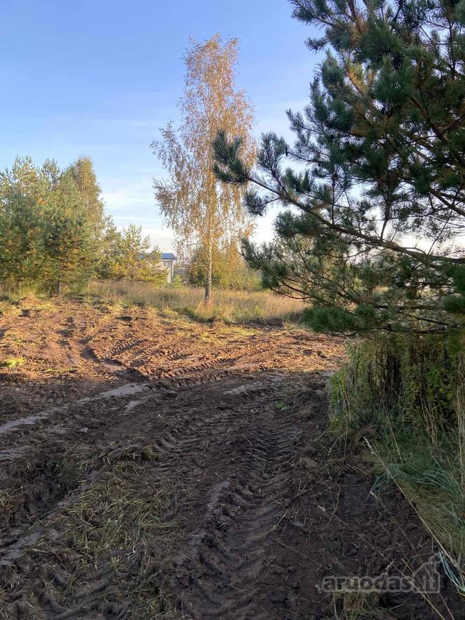 1. Rudens g. 10, detaliajame plane sklypas Nr - nuotraukos Nr. 7
