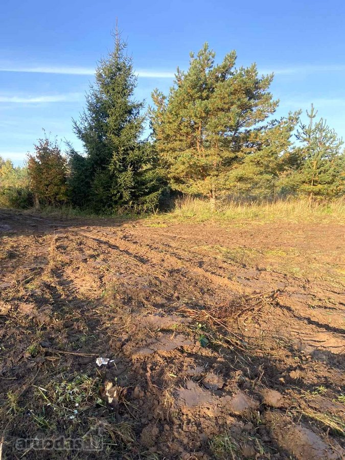 1. Rudens g. 10, detaliajame plane sklypas Nr - nuotraukos Nr. 8