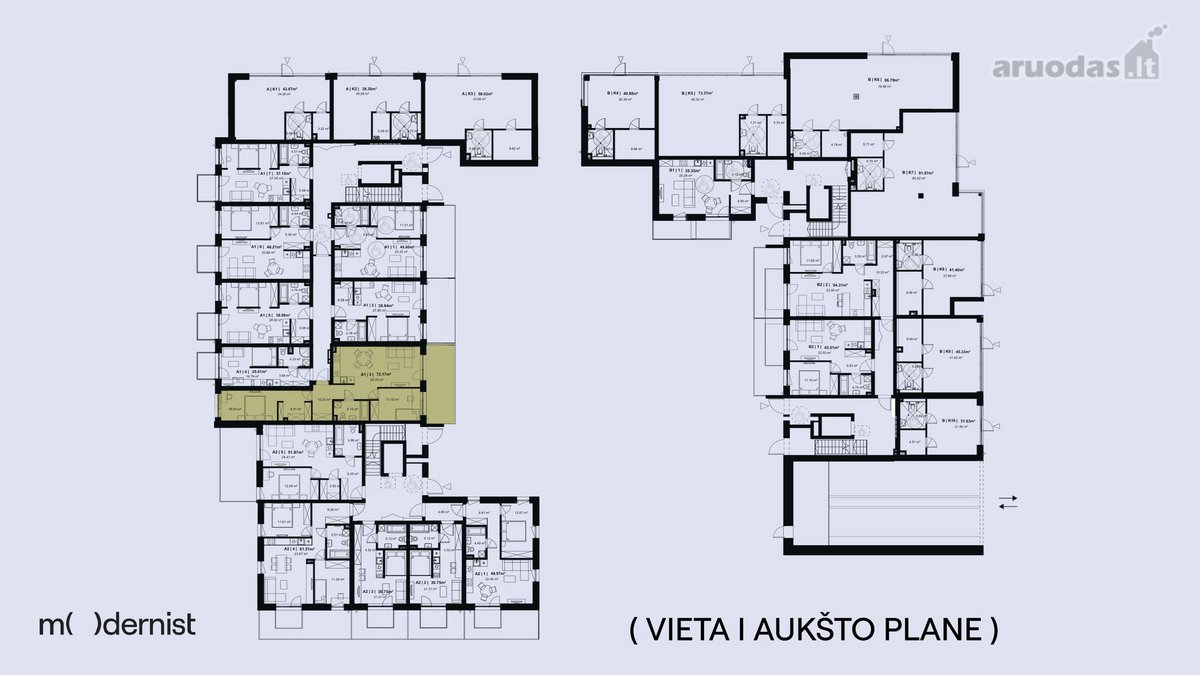 Modernist ( Užpildyk Erdvę Gyvenimu ) - nuotraukos Nr. 5