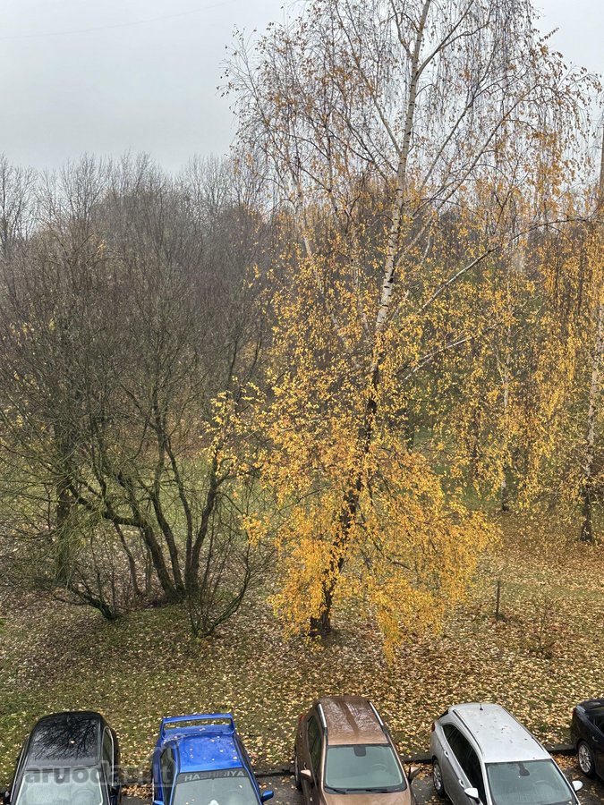 Kokybiškai Įrengtas 2 Kambarių Butas Su - nuotraukos Nr. 19