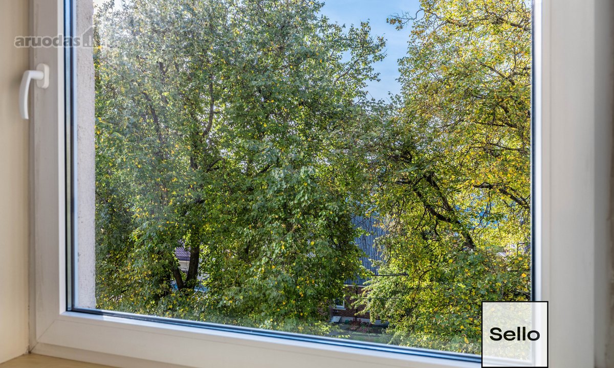  – Nt ekspertai be procentų - nuotraukos Nr. 7