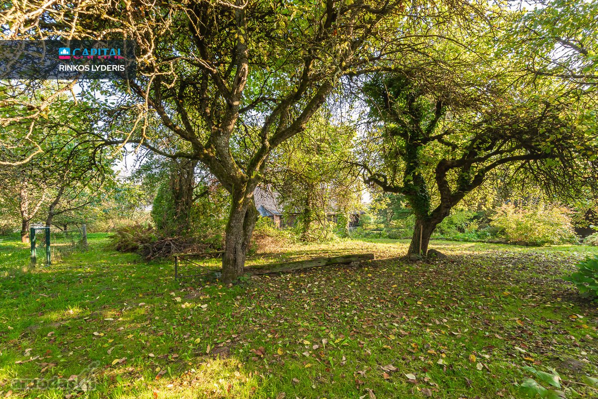 Parduodama sodyba su erdviu 0,91 ha sklypu - nuotraukos Nr. 6
