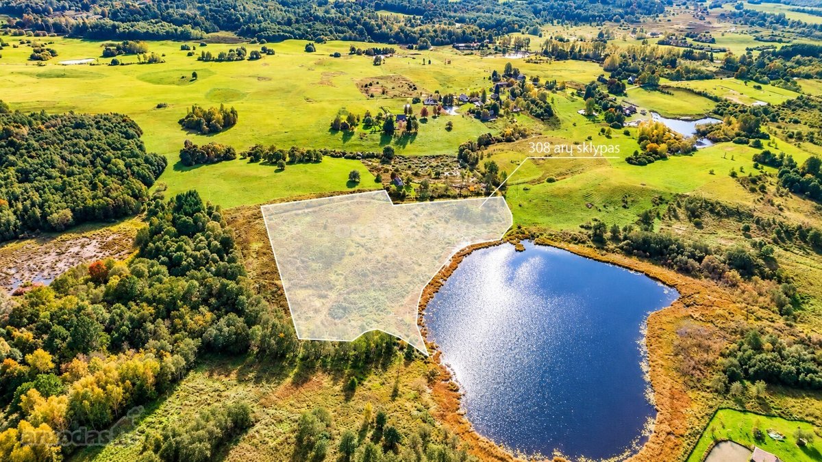 Parduodamas trijų su trupučiu hektarų sklypas - nuotraukos Nr. 3