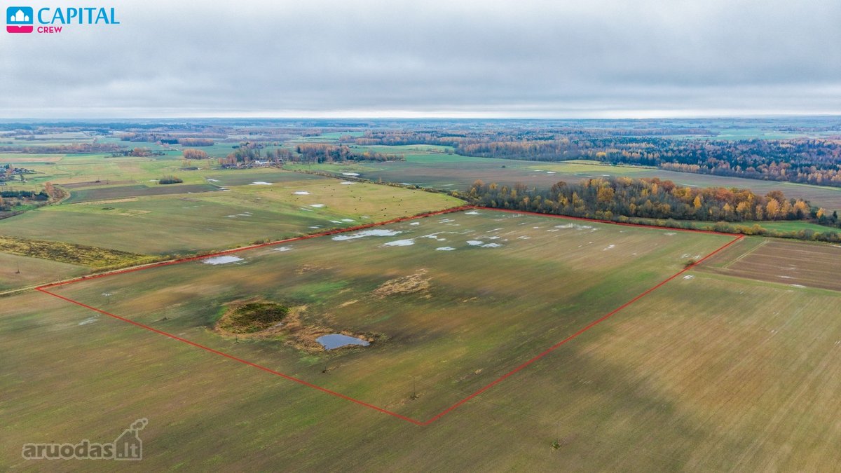Vienoje vietoje parduodami trys žemės ūkio - nuotraukos Nr. 15