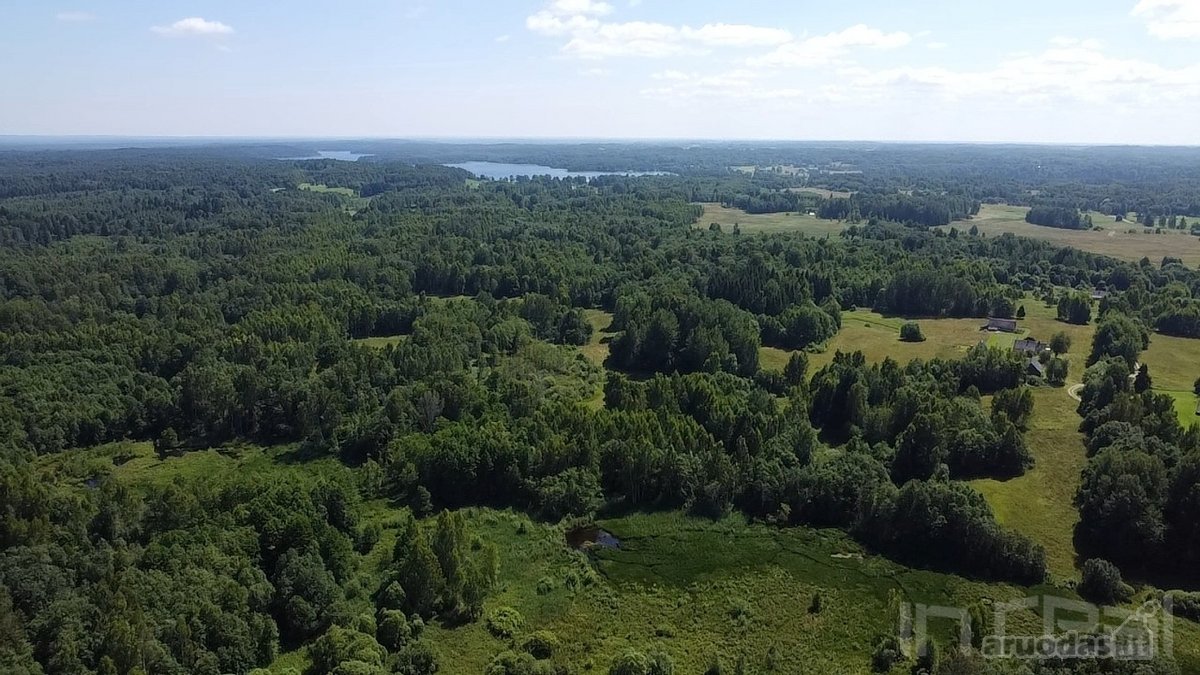 Sodyba ieškantiems ramybės ir privatumo - nuotraukos Nr. 7
