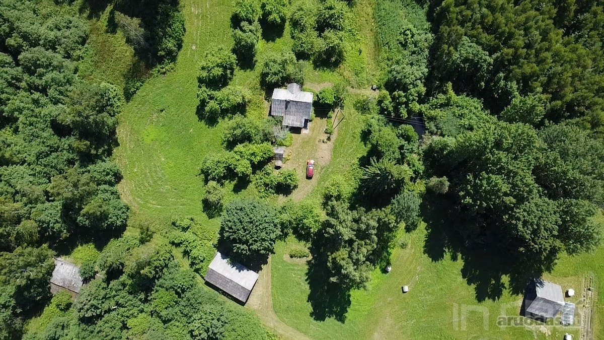 Sodyba ieškantiems ramybės ir privatumo - nuotraukos Nr. 8