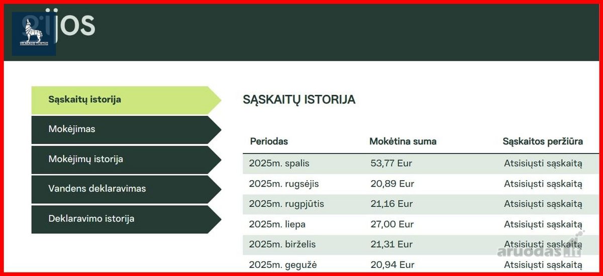 Išnuomojamas Tvarkingas Ir Ką Tik Atnaujintas - nuotraukos Nr. 20
