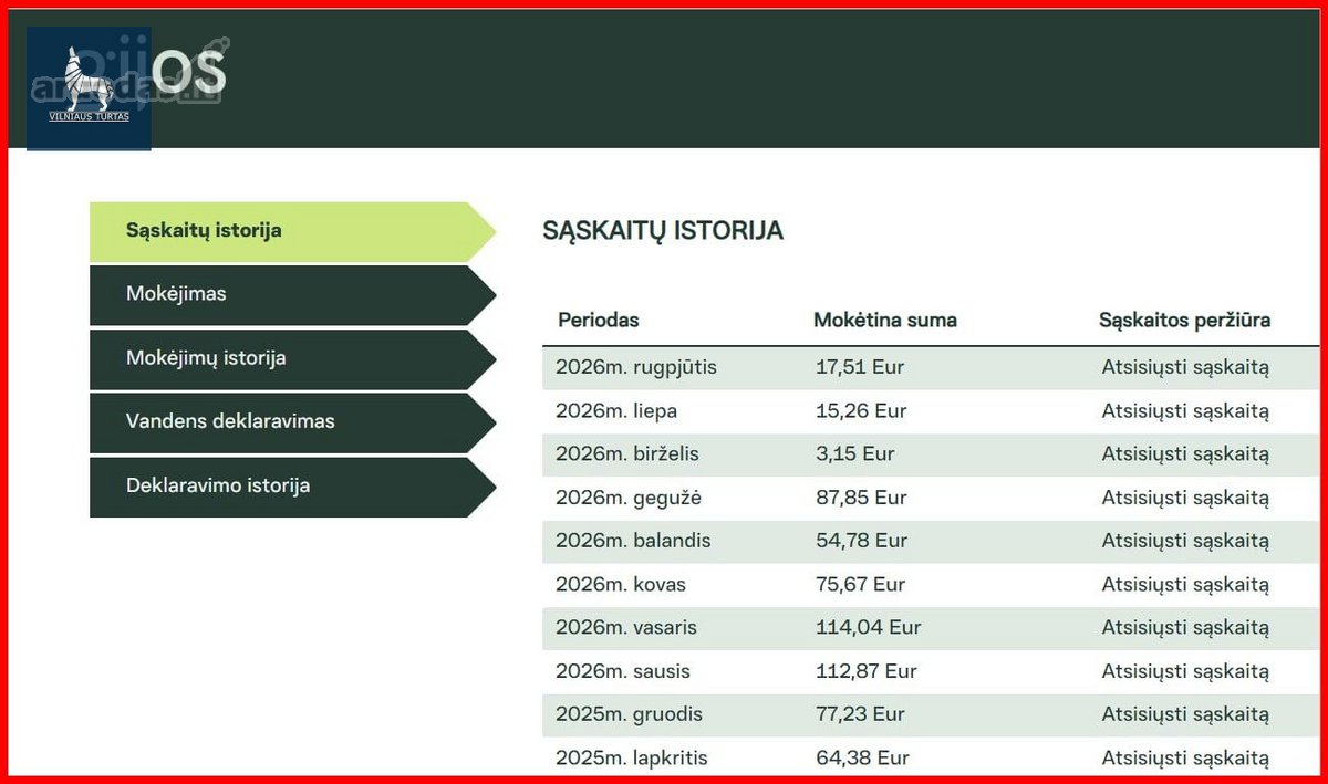 Išnuomojamas Tvarkingas Ir Ką Tik Atnaujintas - nuotraukos Nr. 21