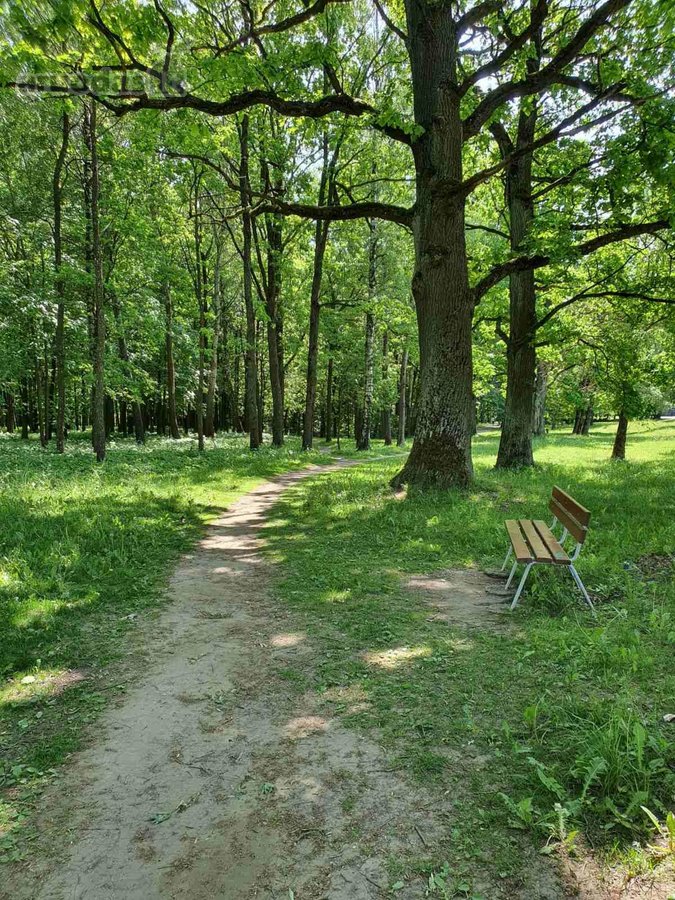 Žarėnų Apartamentai – Stilingi namai gamtos - nuotraukos Nr. 14