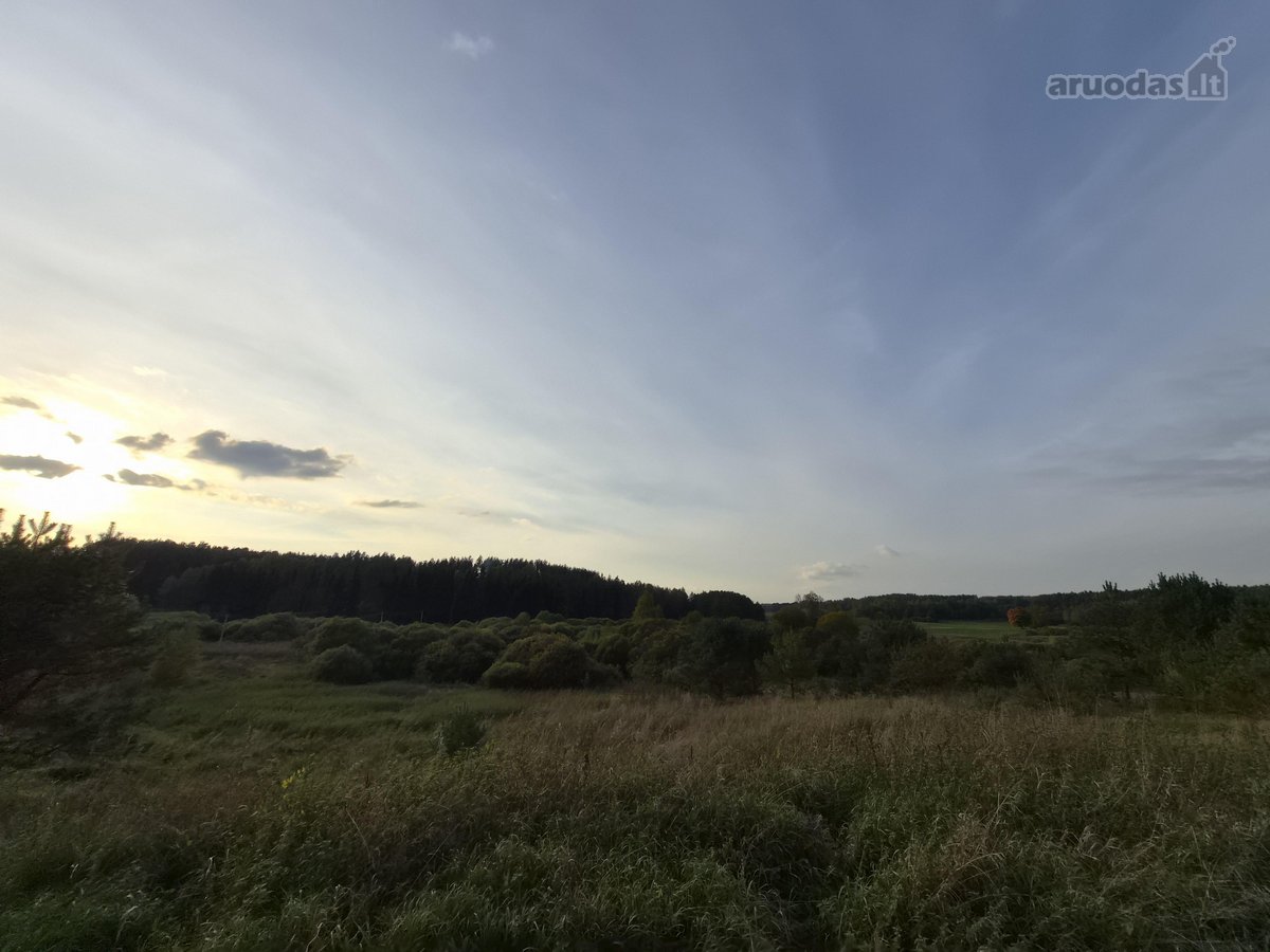 Parduodamas erdvus 1,43 ha (143 a) sklypas - nuotraukos Nr. 3