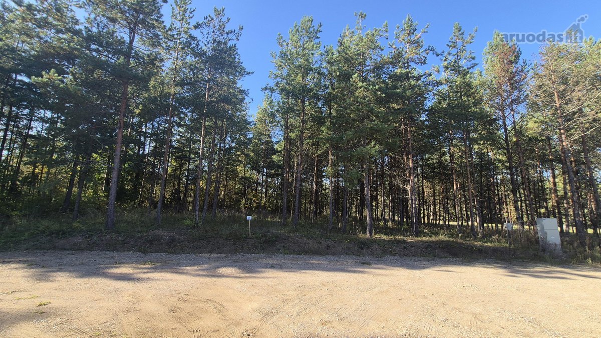 Parduodami du nuostabūs sklypai naujoje Miško - nuotraukos Nr. 3