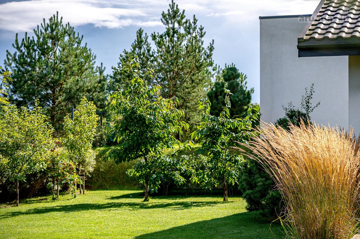 “Namai, Į Kuriuos Norisi Grįžti“ - nuotraukos Nr. 46