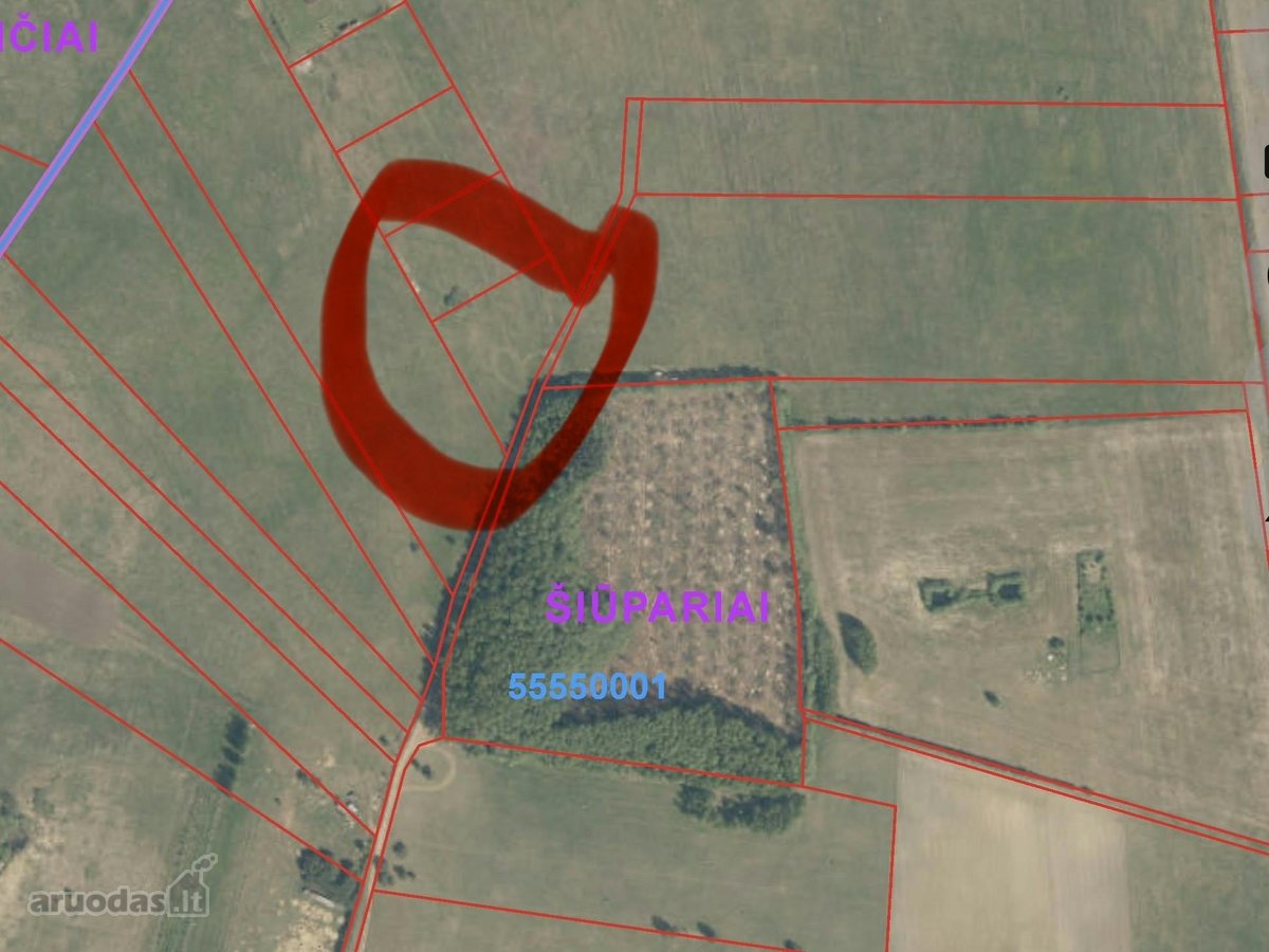 Parduodamas žemės sklypas su elektra Klaipėdos r. - nuotraukos Nr. 2