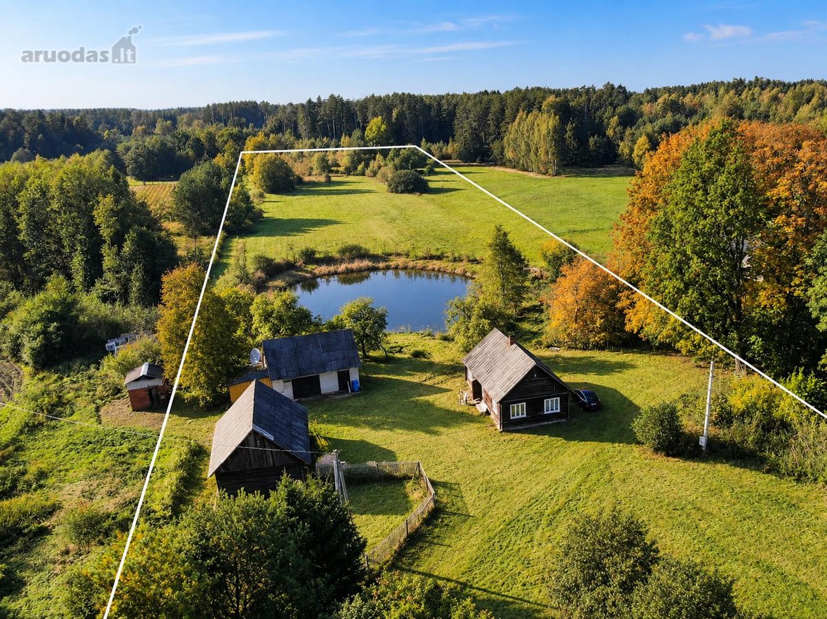 Parduodama autentiška 1,68 ha sodyba Zapyškio - nuotraukos Nr. 2