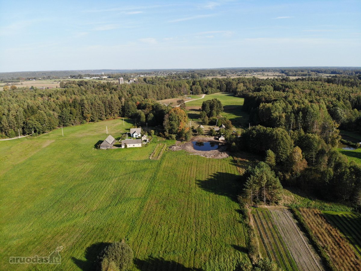 Parduodama autentiška 1,68 ha sodyba Zapyškio - nuotraukos Nr. 7