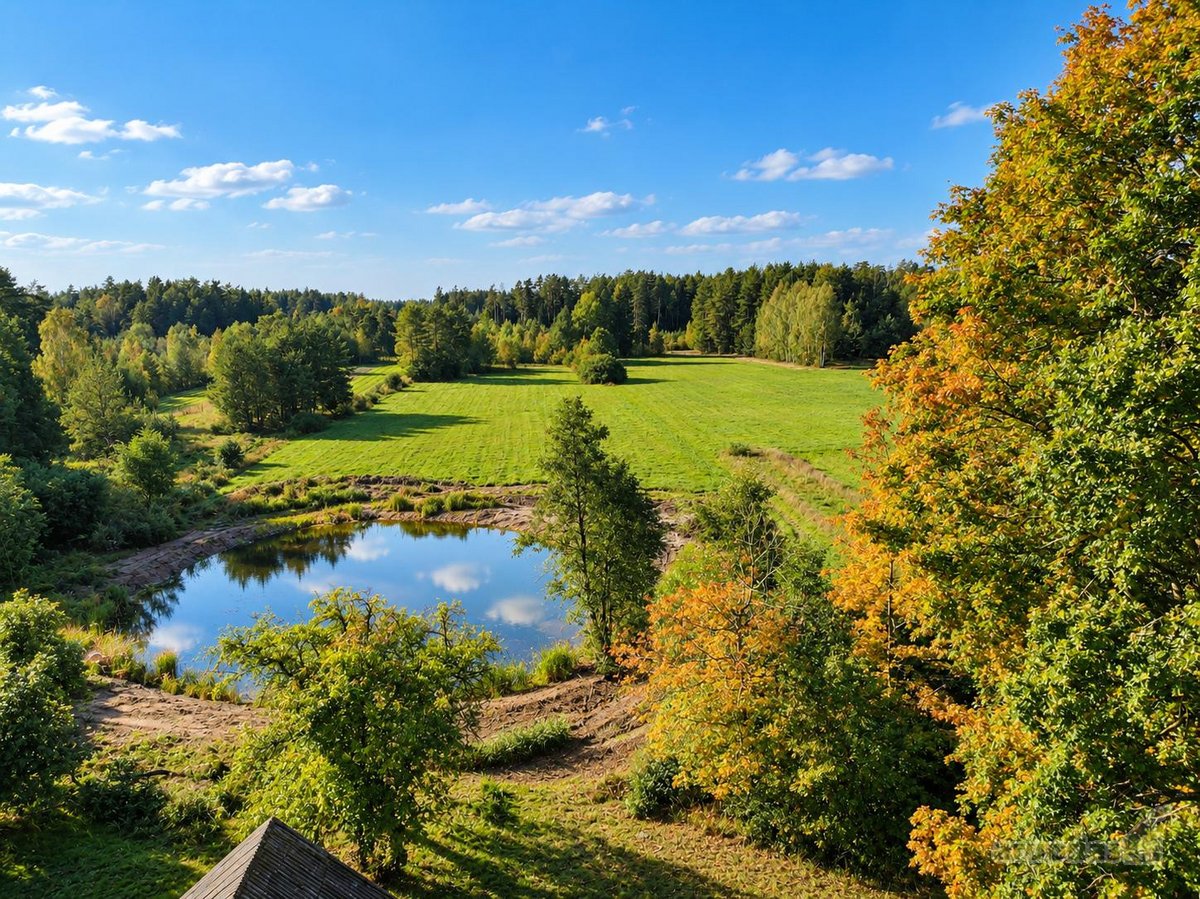 Parduodama autentiška 1,68 ha sodyba Zapyškio - nuotraukos Nr. 3