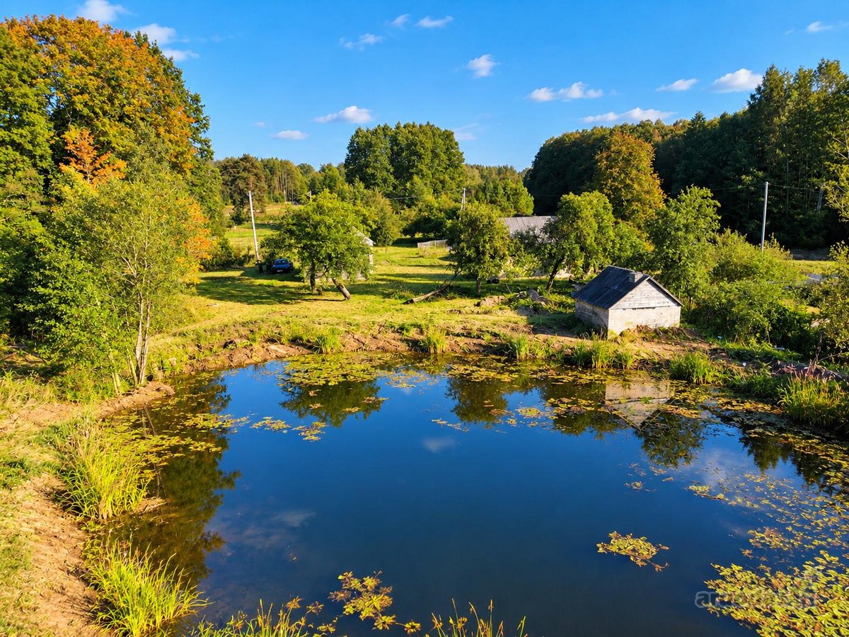 Parduodama autentiška 1,68 ha sodyba Zapyškio - nuotraukos Nr. 5