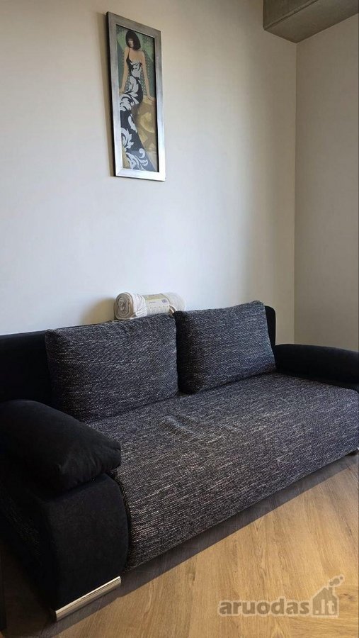 Išnuomojamas Naujai Įrengtas 1 Kambario Butas - nuotraukos Nr. 3