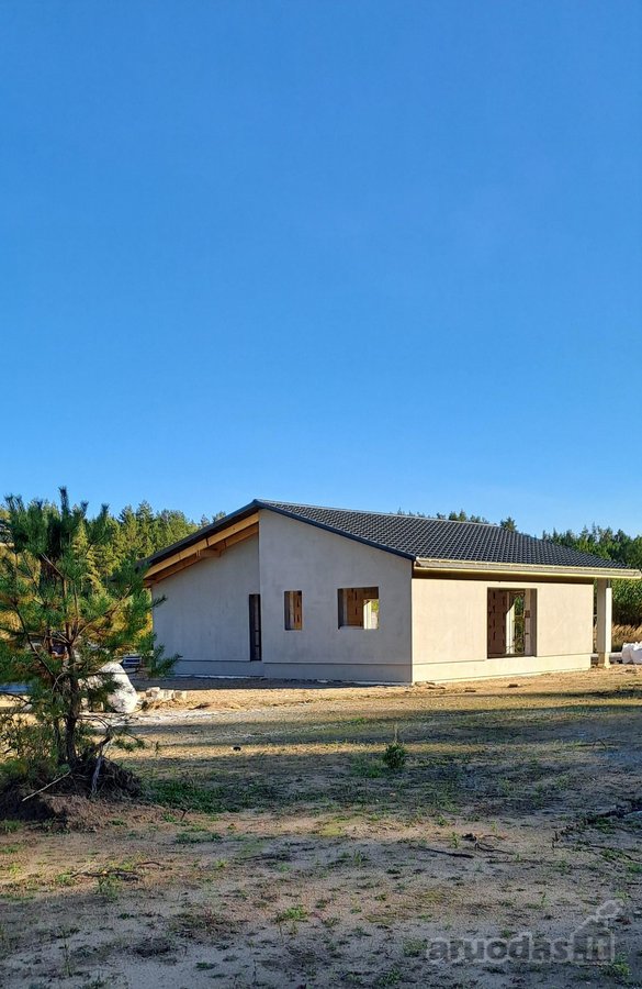 Miško apsuptyje, naujai besiformuojančiame - nuotraukos Nr. 11