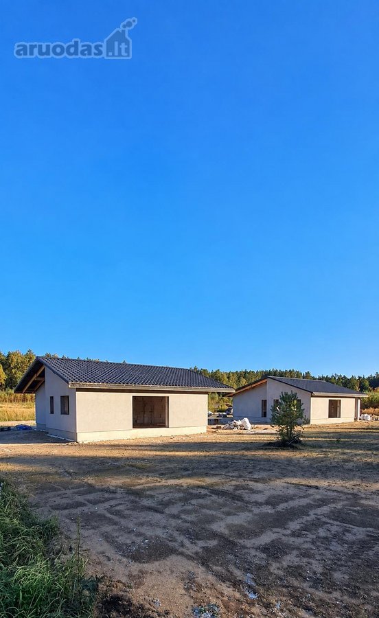 Miško apsuptyje, naujai besiformuojančiame - nuotraukos Nr. 13