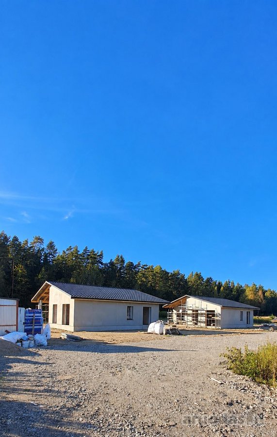 Miško apsuptyje, naujai besiformuojančiame - nuotraukos Nr. 14