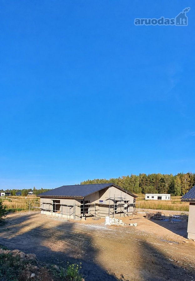 Miško apsuptyje, naujai besiformuojančiame - nuotraukos Nr. 15