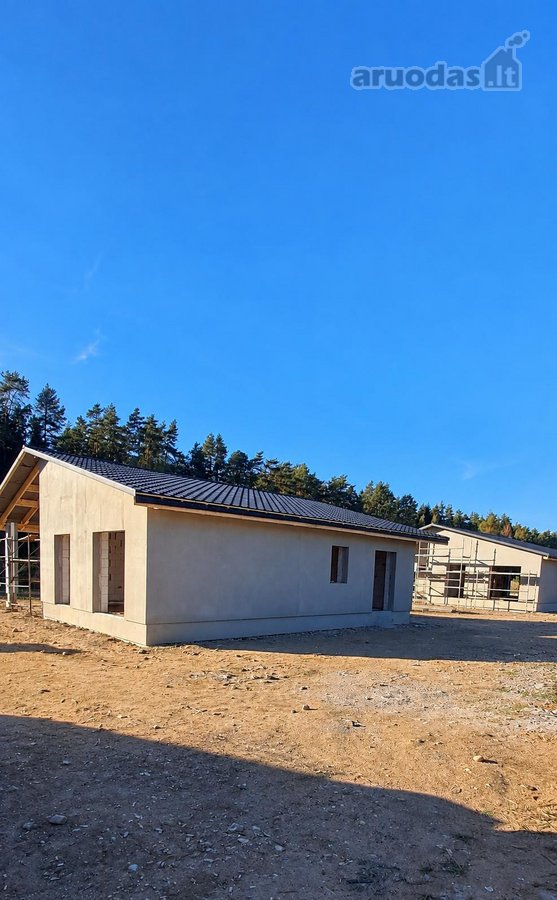 Miško apsuptyje, naujai besiformuojančiame - nuotraukos Nr. 12