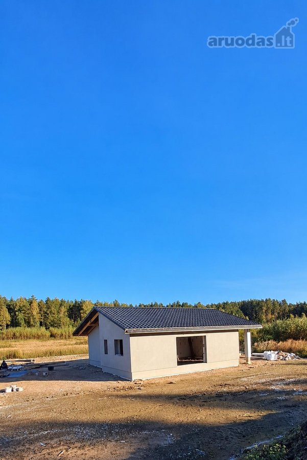 Miško apsuptyje, naujai besiformuojančiame - nuotraukos Nr. 16