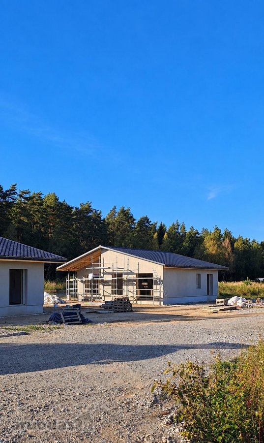 Miško apsuptyje, naujai besiformuojančiame - nuotraukos Nr. 19