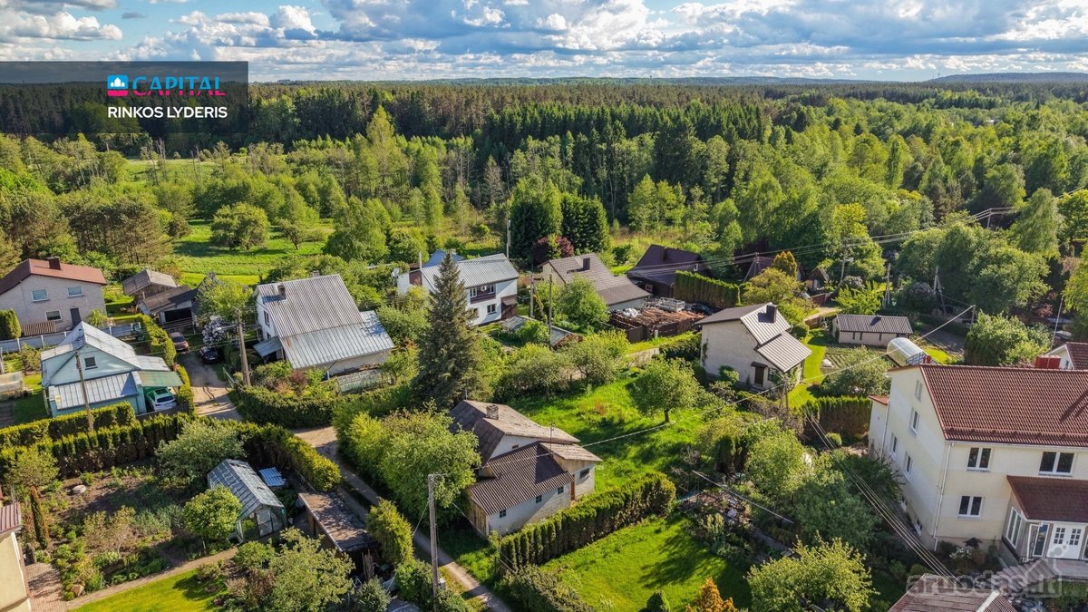 Gamtos Apsuptis, Tapelių Ežeras Ir Galimybė - nuotraukos Nr. 18