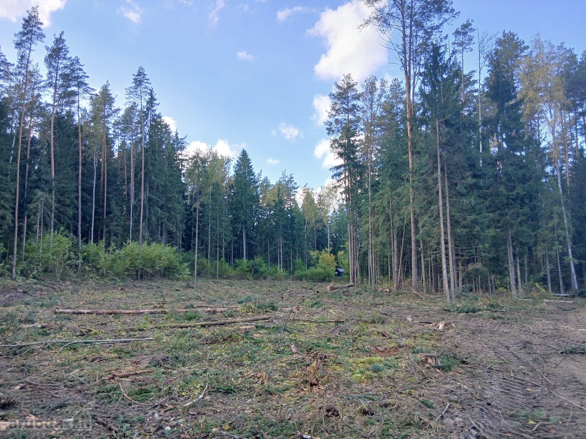 Unikalus pusiasalis su 250m Dubingos upės - nuotraukos Nr. 5