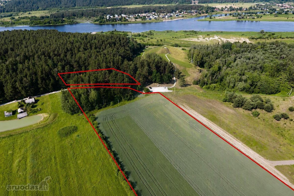 Parduodama 3,96 ha teritorija šalia Pyplių - nuotraukos Nr. 2