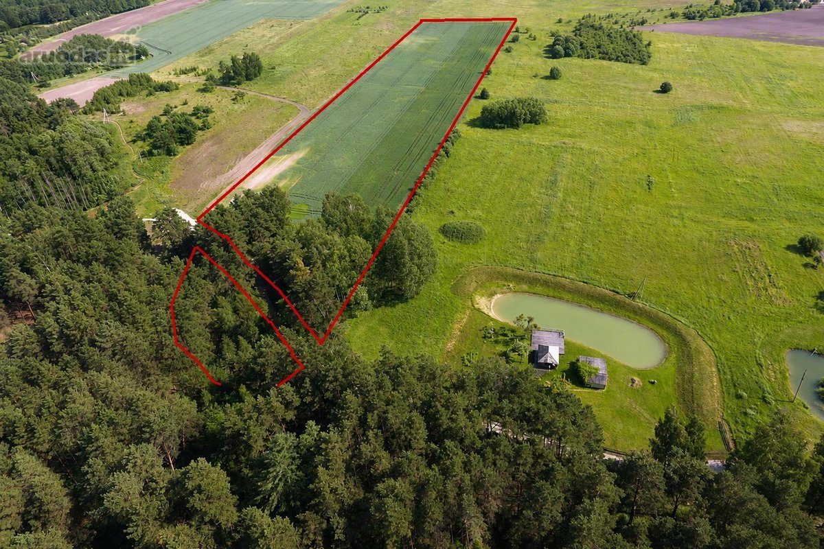 Parduodama 3,96 ha teritorija šalia Pyplių - nuotraukos Nr. 3