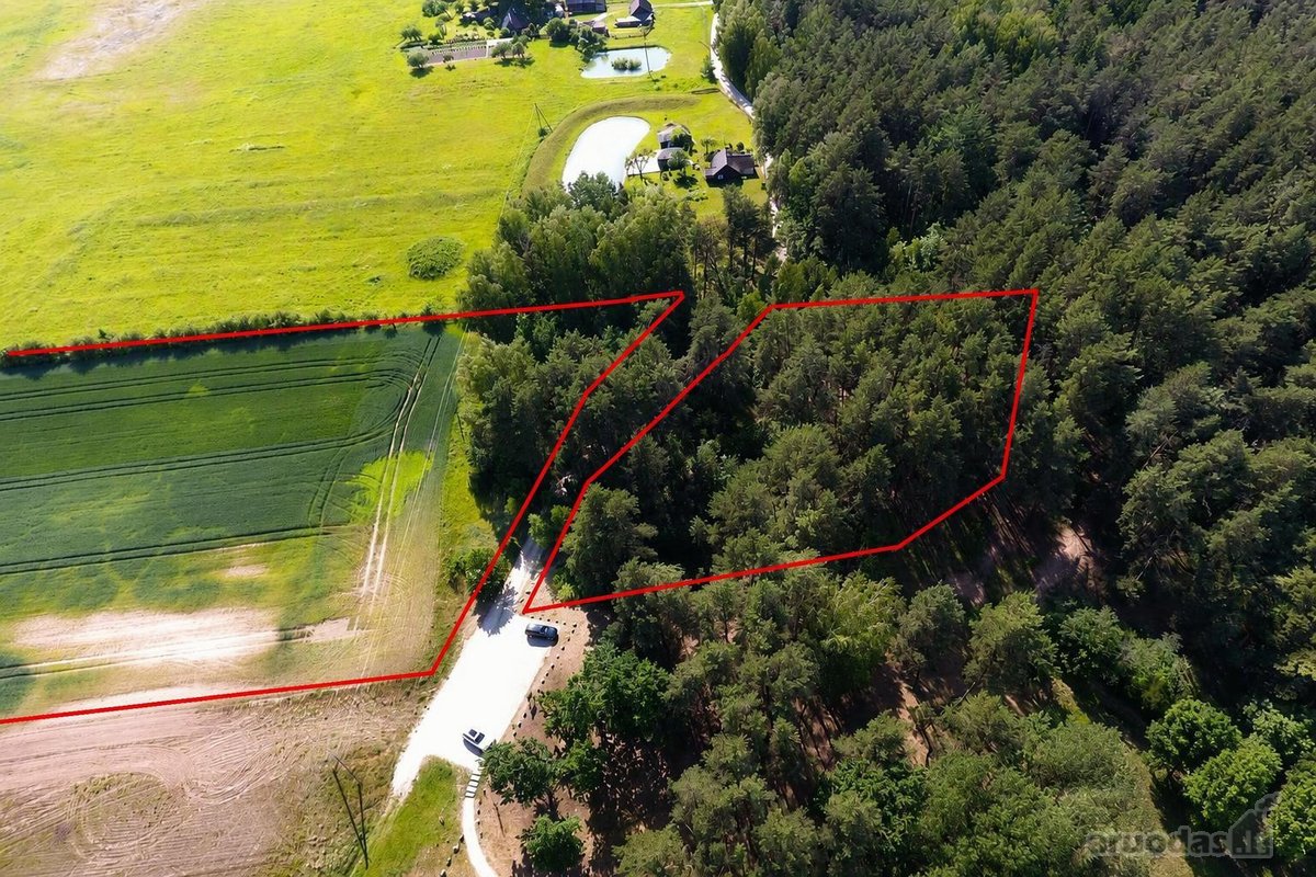 Parduodama 3,96 ha teritorija šalia Pyplių - nuotraukos Nr. 4