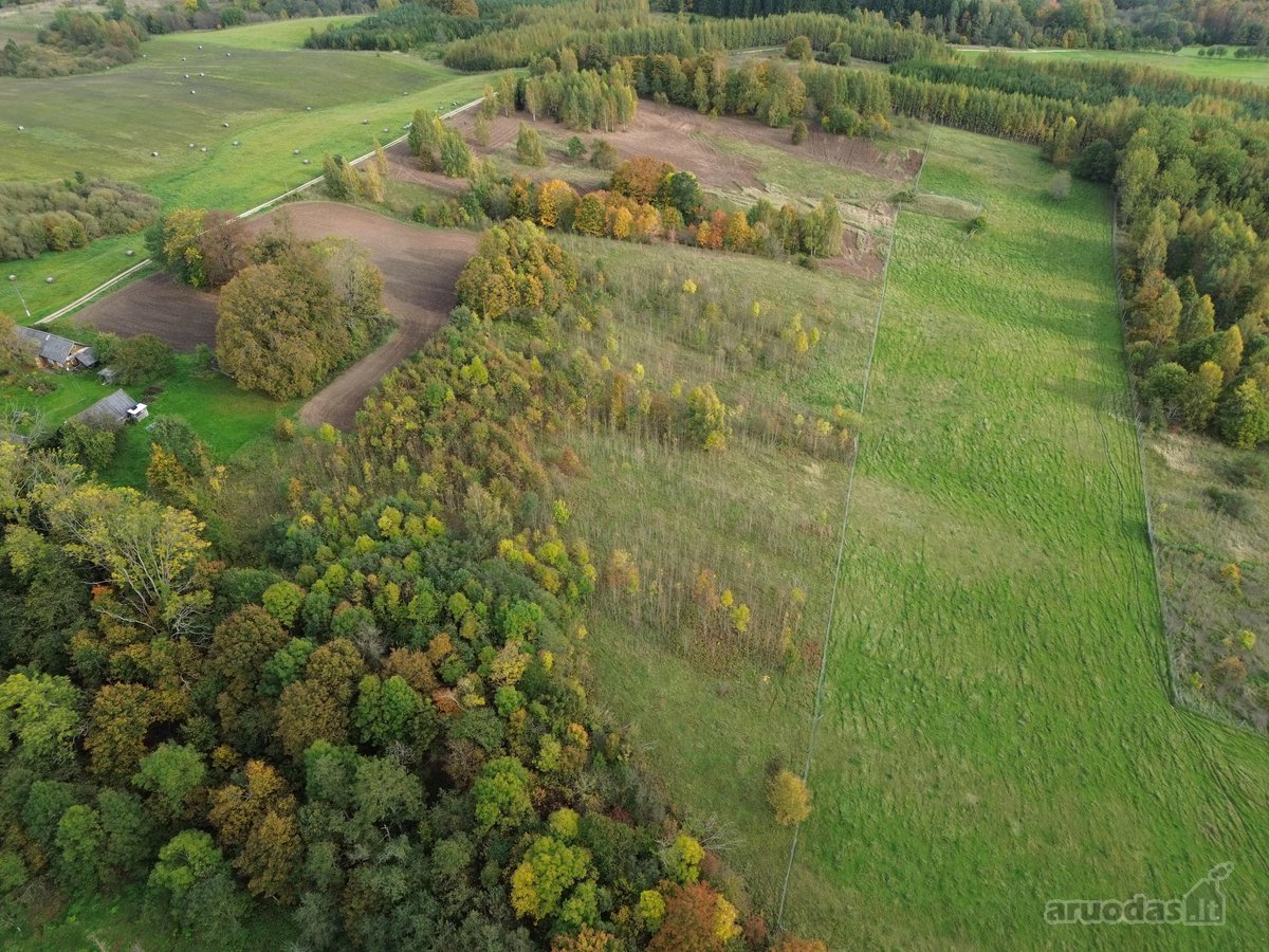 Kartu parduodami du besiribojantys sklypai: - nuotraukos Nr. 13