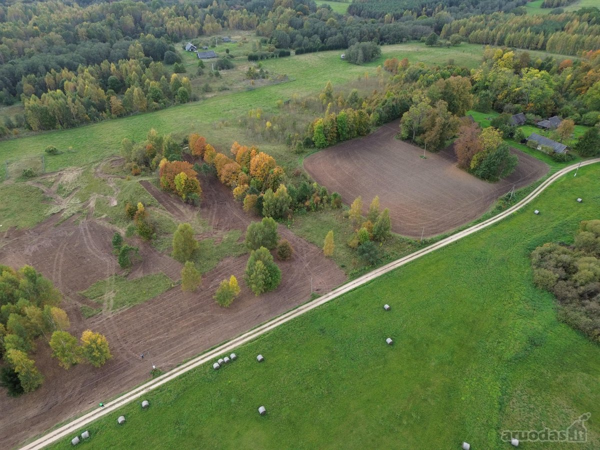 Kartu parduodami du besiribojantys sklypai: - nuotraukos Nr. 16