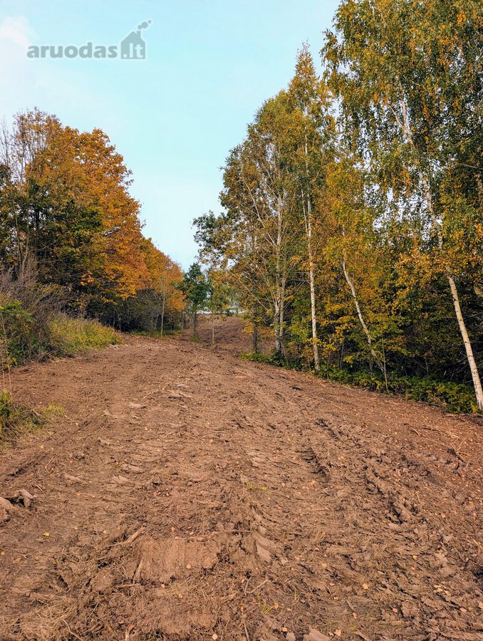 Kartu parduodami du besiribojantys sklypai: - nuotraukos Nr. 6