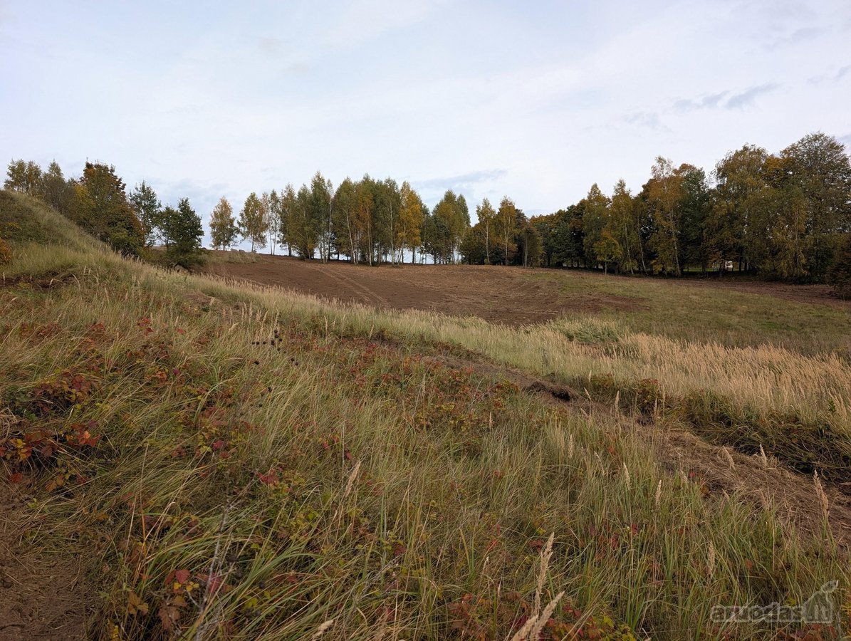 Kartu parduodami du besiribojantys sklypai: - nuotraukos Nr. 5