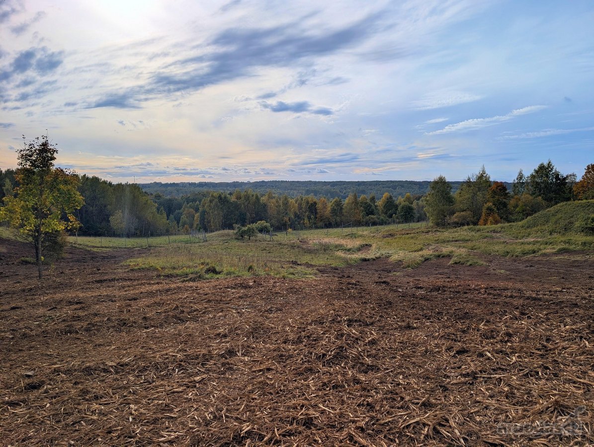 Kartu parduodami du besiribojantys sklypai: - nuotraukos Nr. 3