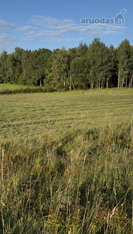 Plungės rajone, Prūsalių kaime, labai ramioje - nuotraukos Nr. 2