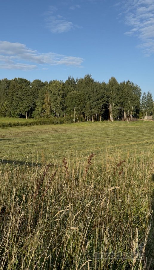 Plungės rajone, Prūsalių kaime, labai ramioje - nuotraukos Nr. 3