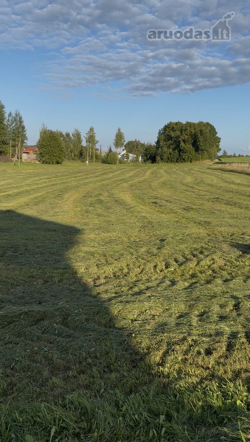 Plungės rajone, Prūsalių kaime, labai ramioje - nuotraukos Nr. 4