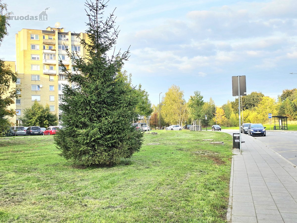 Jaukus 1 Kambario Butas Gamtos Apsuptyje – - nuotraukos Nr. 13