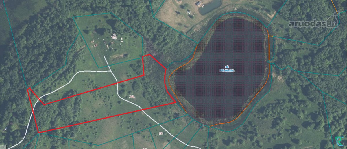 Parduodami išskirtiniai namų valdos ir - nuotraukos Nr. 13