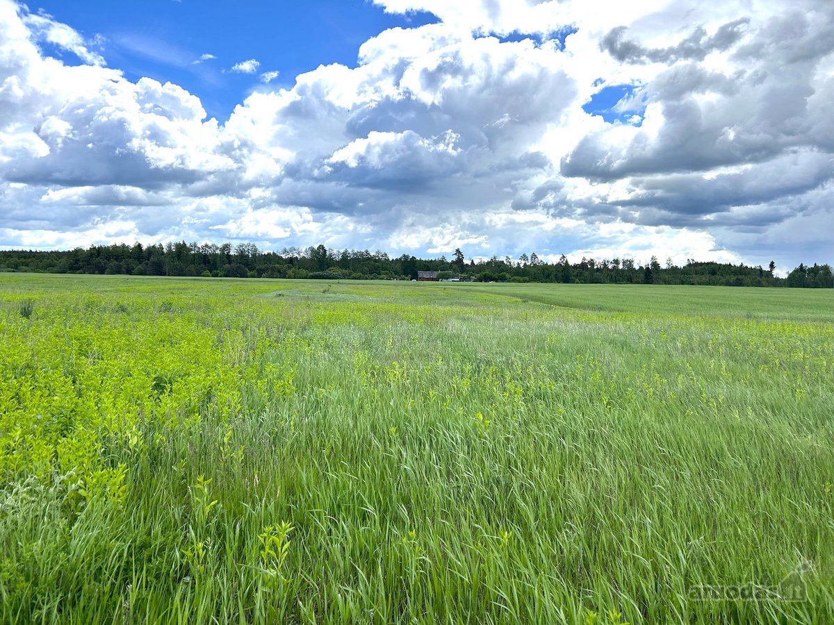 Parduodamas 2,6400 ha žemės ūkio paskirties - nuotraukos Nr. 4