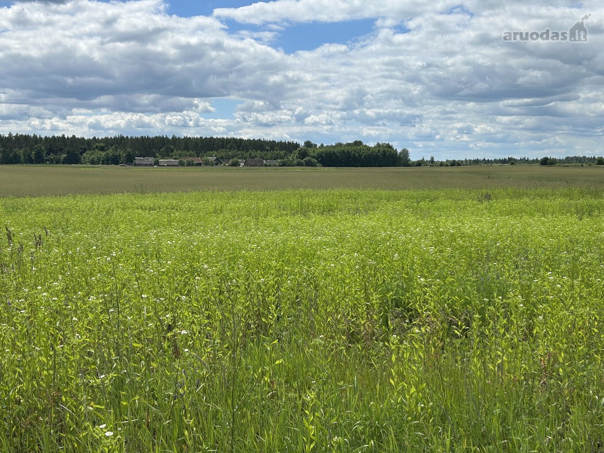 Parduodamas 2,6400 ha žemės ūkio paskirties - nuotraukos Nr. 3