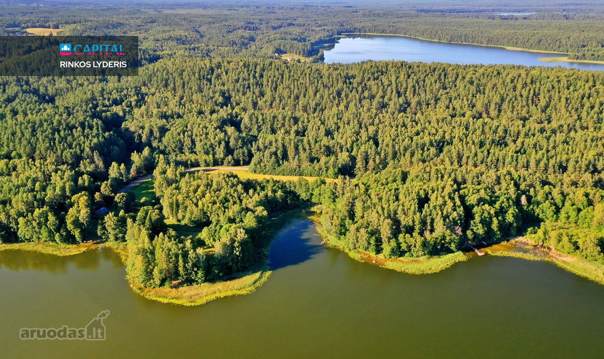 Išskirtinė 3,42 ha sodybvietė su beveik 500 m - nuotraukos Nr. 21